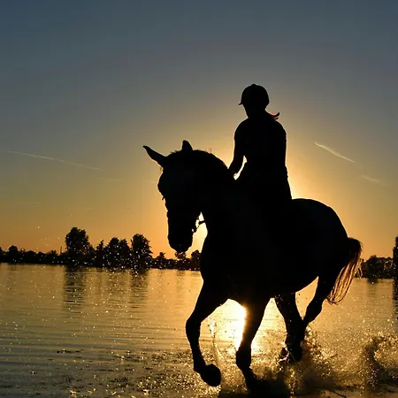 Virtu Agios Prokopios (Naxos)