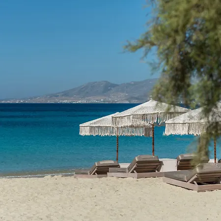 Ξενοδοχείο Virtu 5*
